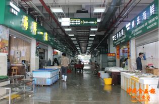 筑牢安全防線，守護舌尖健康——成都農產品中心批發市場商家深入學習食品安全法與食用農產品批發規范